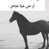 user7096871481988