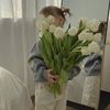 radwa.ragab14