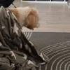 dorothyyy_02