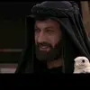 user4279381270600