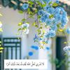user5105074981676