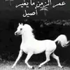 user84343353345733