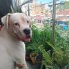 diego_201292
