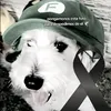 mariano_sullca_m