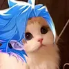 hng.c.c1