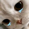 naww_wwaa12