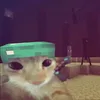 ahconhoe0