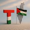 tanvir.hok