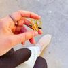 advzainabhanif98