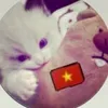 yenbee_dzs1tg1