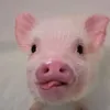 vivian_4869