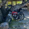 suep_cb