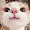 user21227651296567