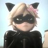 sh4dybugloves_darkness