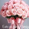 user610617668203