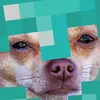 invinciblelover2