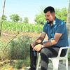 amedli_bahoz2.1