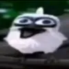 _sh0n3n