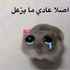 abdullah._143_1