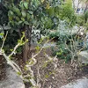 abdoulaj0