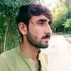 sharfat.ali497