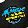 bi_audio1