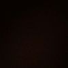 sweet.bearrr_