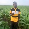 user96173616870331