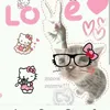 user7790590660271