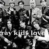 stray.kids_love35