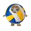 ilove_volleyball1