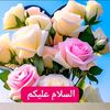 user8858088047056