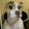 buckttick