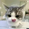 quynhchi.114
