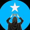 ahlammoh1237