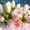ngocly111215