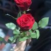 emanalfaredi7