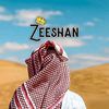 zeshan.ali2542