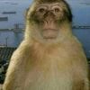 imnot_derek