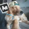 speed_flow6