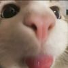 marpell.neckhurt