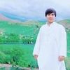 .farid.asil