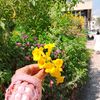 eman_mamdouh12