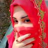 insha.milak