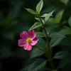 🎵 Nhạc Hay Mỗi Ngày