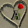 user68808775233227