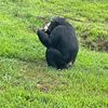 monke_monke24