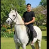 user67665418148006