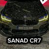 sanad.elghani0