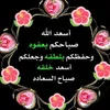 mohammedsalh231